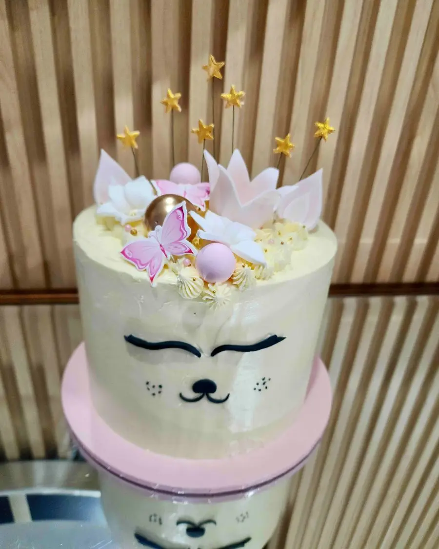 Sleepy cat cake
